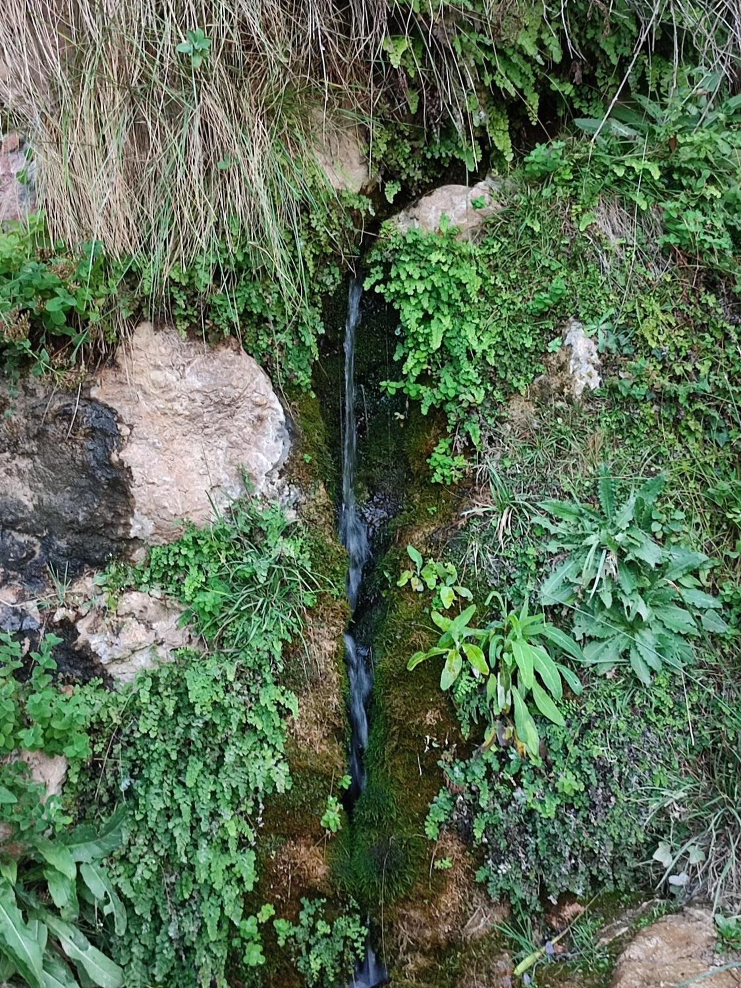 El Canton Bogarra Buitenkant foto