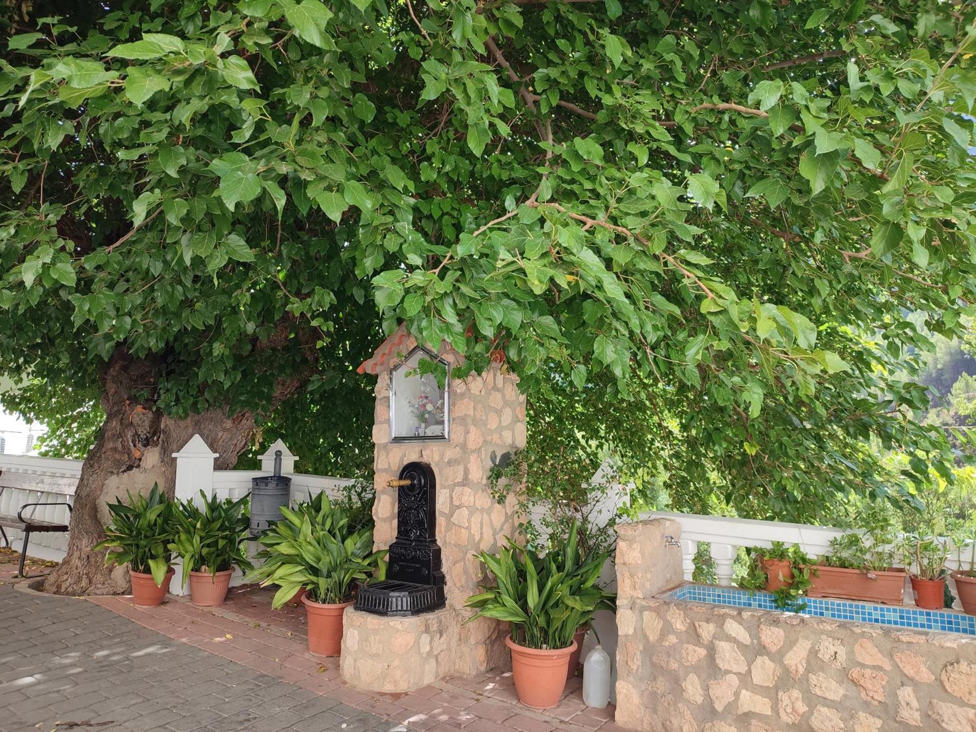 El Canton Bogarra Buitenkant foto